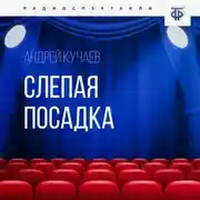 Постер книги Слепая посадка