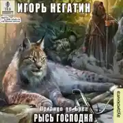Постер книги Рысь Господня