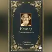 Постер книги Илиада. Сокращённая версия