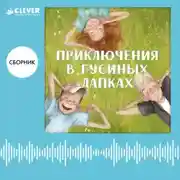 Постер книги Приключения в Гусиных лапках. Сборник