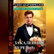 Постер книги Закаленные бурей 3