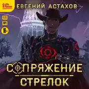 Постер книги Стрелок