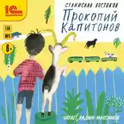 Постер книги Прокопий Капитонов