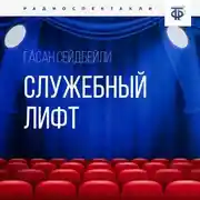 Постер книги Служебный лифт