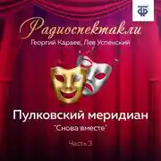Постер книги Пулковский меридиан. Часть 3. «Снова вместе»