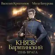 Постер книги Князь Барятинский 5. Тень врага