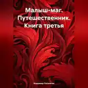Постер книги Малыш-маг. Путешественник. Книга третья
