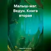Постер книги Малыш-маг. Ведун. Книга вторая