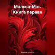 Постер книги Малыш-Маг. Книга первая