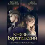 Постер книги Князь Барятинский 4. Операция «Кронштадт»