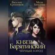 Постер книги Князь Барятинский 3. Чёрный город