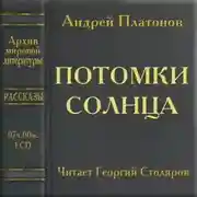 Постер книги Потомки солнца