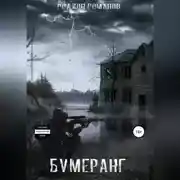 Постер книги Бумеранг