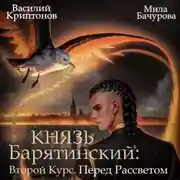 Постер книги Князь Барятинский 9. Второй Курс. Перед рассветом