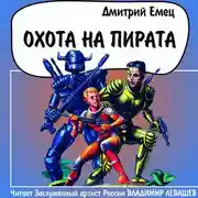 Постер книги Охота на пирата