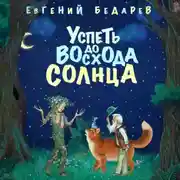 Постер книги Успеть до восхода солнца