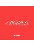 Юрий Сапрыкин - Лекция 4. Свобода