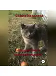 София Коралова - Бабушка Света, сельская ведьма