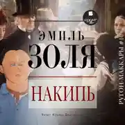 Постер книги Накипь