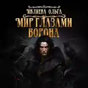 Постер книги Мир глазами ворона