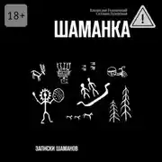 Постер книги Шаманка