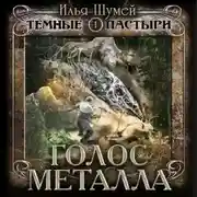 Постер книги Голос металла
