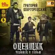 Постер книги Оценщик. Человек с тенью