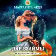 Постер книги Академия волшебства. Дар взаймы