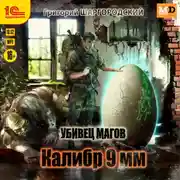 Постер книги Убивец магов. Калибр 9 мм