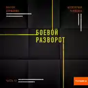 Постер книги Агентурная разведка. Часть 12. Боевой разворот