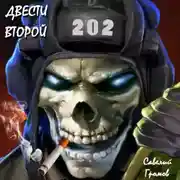 Постер книги Двести второй