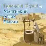 Постер книги Маленький ослик Марии