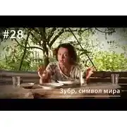 Постер книги Зубр, символ мира