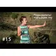 Постер книги Пора валить из этой страны! Великая миграция гну