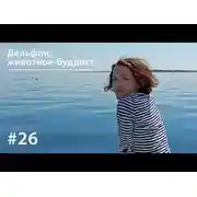 Постер книги Дельфин: животное-буддист