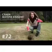 Постер книги Слава Матери-ехидне!