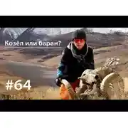 Постер книги Козёл или баран?