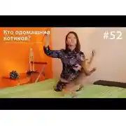 Постер книги Кто одомашнил котиков?