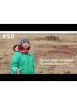 Евгения Тимонова - Летающие лошади Пржевальского