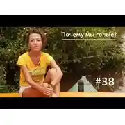 Постер книги Почему мы голые?