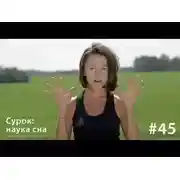 Постер книги Сурок: наука сна