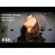 Постер книги Почему птицы не летают как люди?