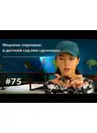 Евгения Тимонова - Морские черепахи: в детский сад или сдохнешь!