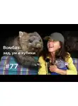 Евгения Тимонова - Вомбат: ум, зад и кубики