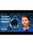 Евгения Тимонова - Почему мы едим акул?