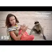 Постер книги Секс решает проблемы