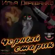 Постер книги Черный старик