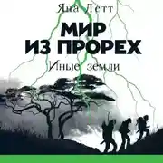 Постер книги Мир из прорех. Иные земли