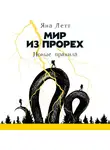 Яна Летт - Мир из прорех. Новые правила
