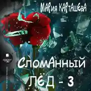 Постер книги Сломанный лёд – 3